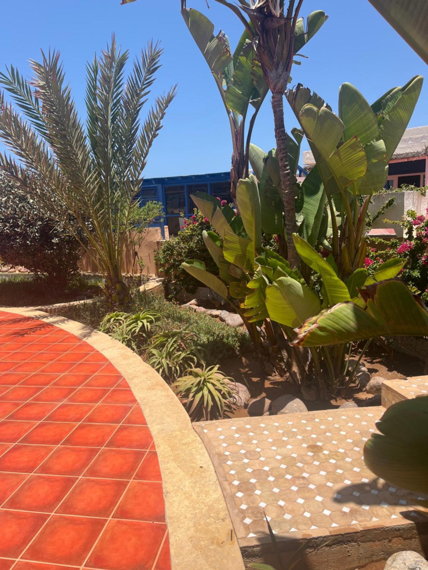 Mimid Dunes Beach Hotel Мирлефт Екстериор снимка