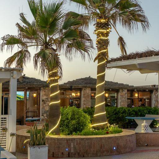 Mimid Dunes Beach Hotel Мирлефт Екстериор снимка